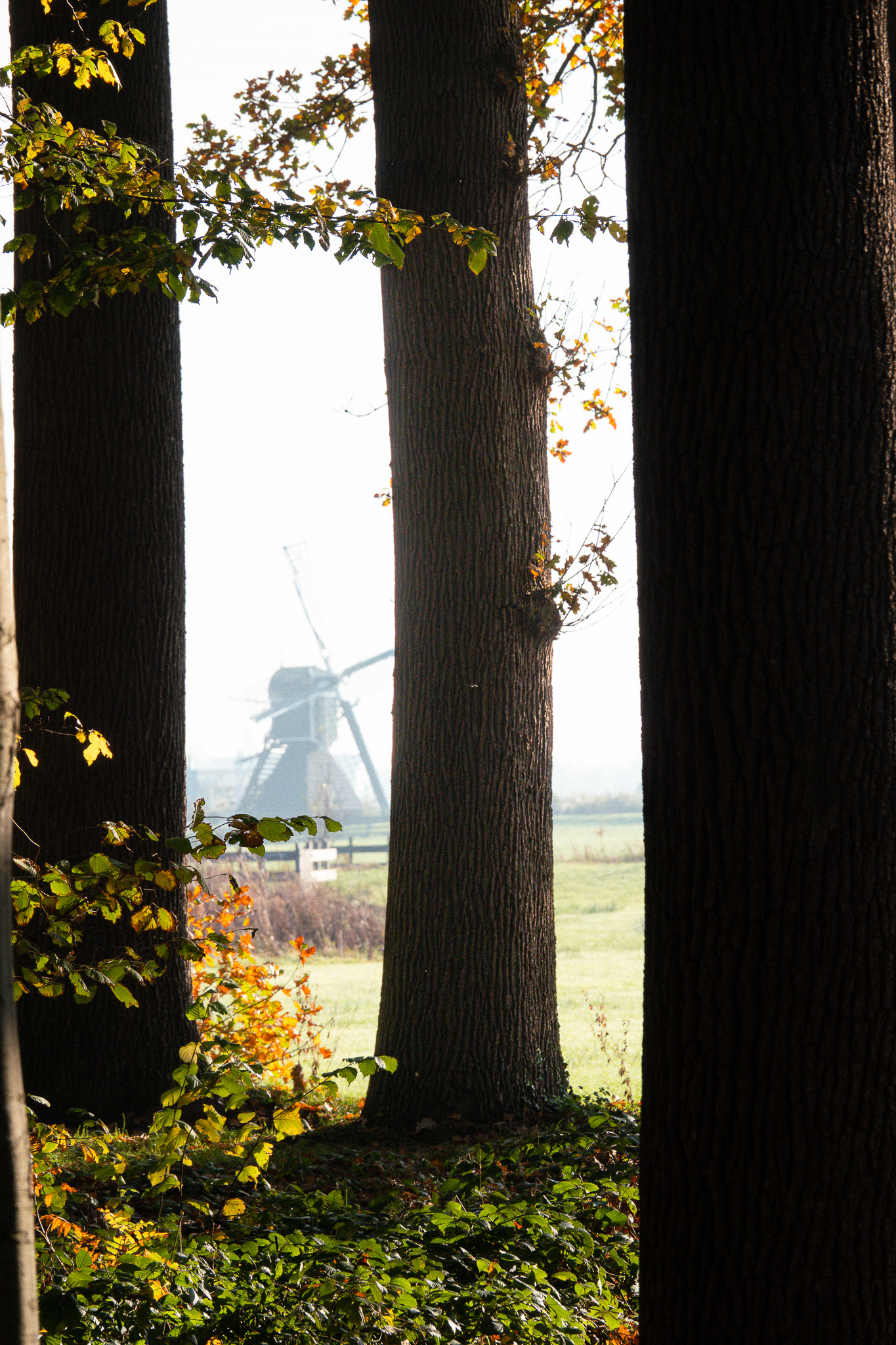 20251108   Huys te Warmond met Brigitte   003